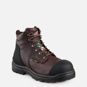 Red Wing 6-inch Waterproof CSA Safety Toe Boot Black-Brown | 73KFAECZQ