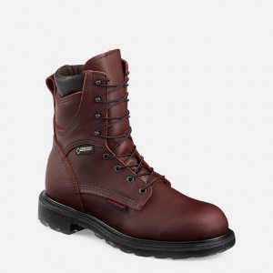 Red Wing 8-inch Waterproof Soft Toe Boot | 93WLMCIVX