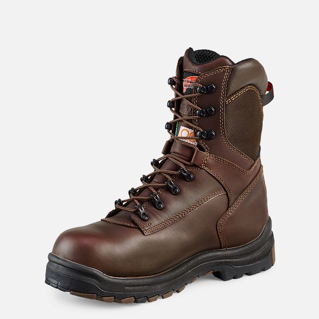 Red Wing 8-inch Insulated, Waterproof CSA Safety Toe Boot Black-Brown | 52KJCQRZM